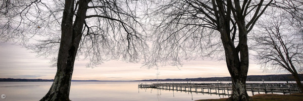 Trauer Starnberger See Bäume Pier